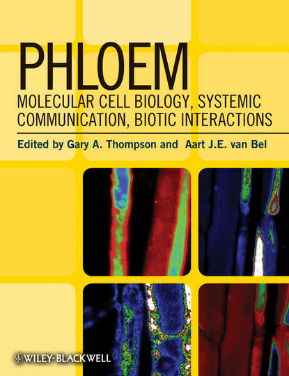 Скачать книгу Phloem