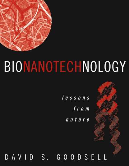 Скачать книгу Bionanotechnology