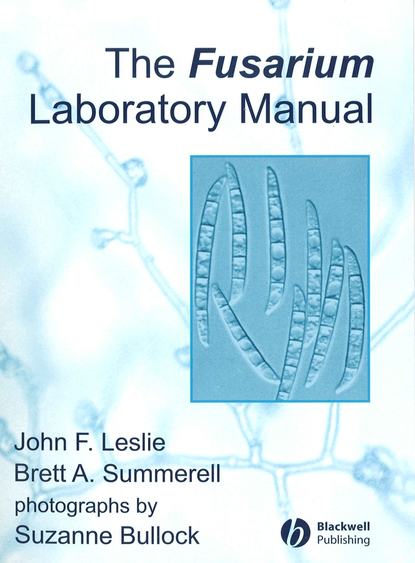 Скачать книгу The Fusarium Laboratory Manual