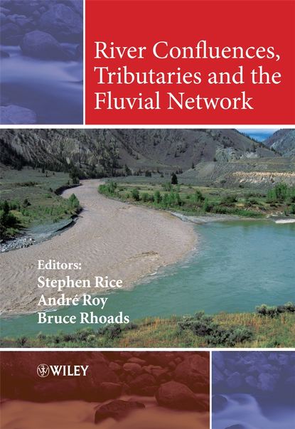 Скачать книгу River Confluences, Tributaries and the Fluvial Network