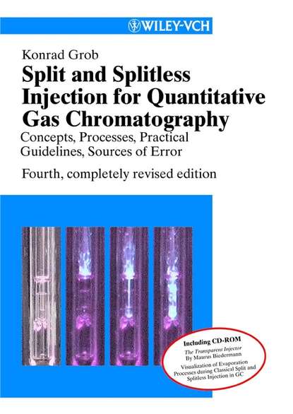 Скачать книгу Split and Splitless Injection for Quantitative Gas Chromatography