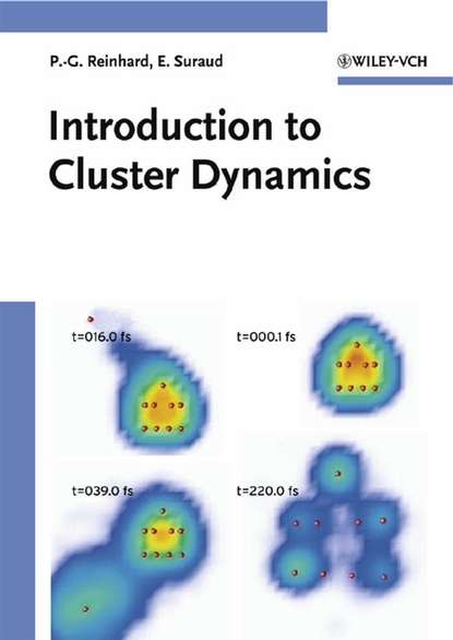 Скачать книгу Introduction to Cluster Dynamics