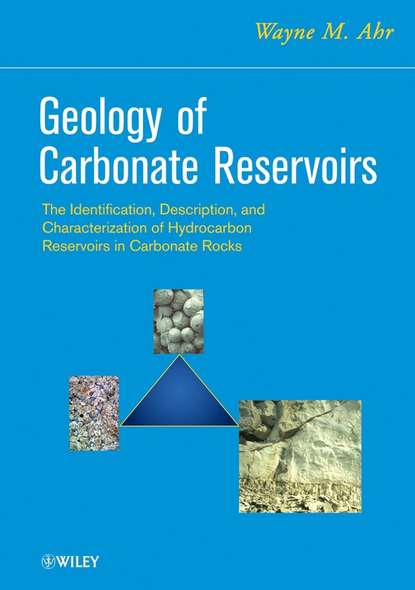 Скачать книгу Geology of Carbonate Reservoirs