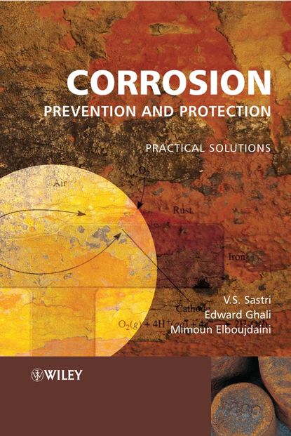Скачать книгу Corrosion Prevention and Protection