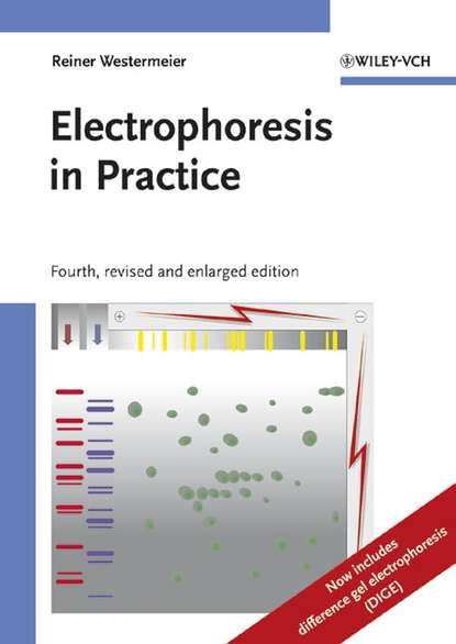 Скачать книгу Electrophoresis in Practice