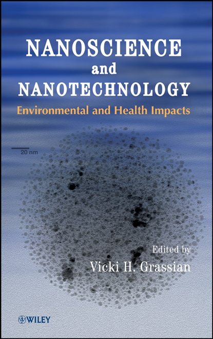 Скачать книгу Nanoscience and Nanotechnology