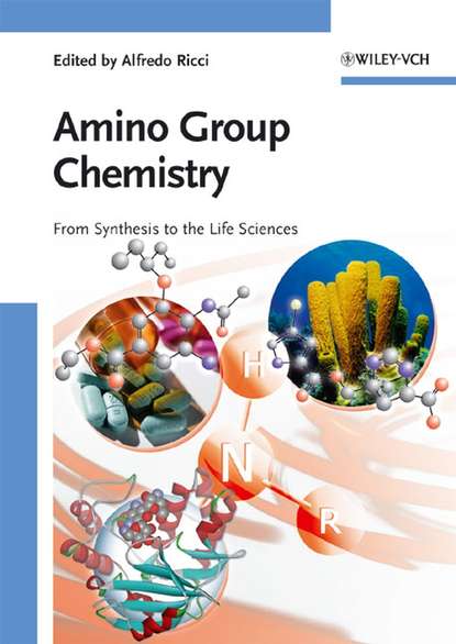 Скачать книгу Amino Group Chemistry