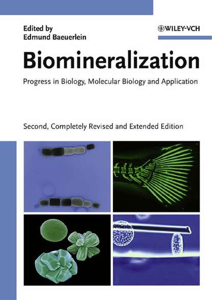 Скачать книгу Biomineralization