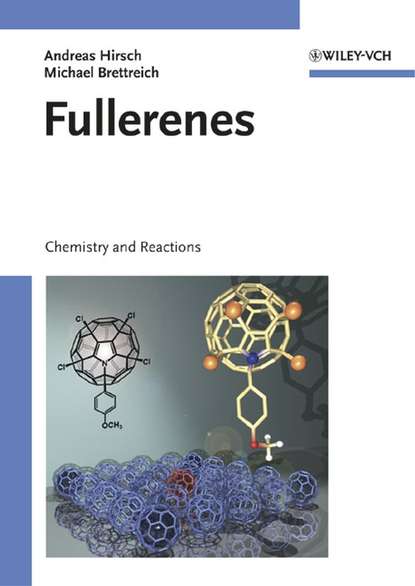 Скачать книгу Fullerenes
