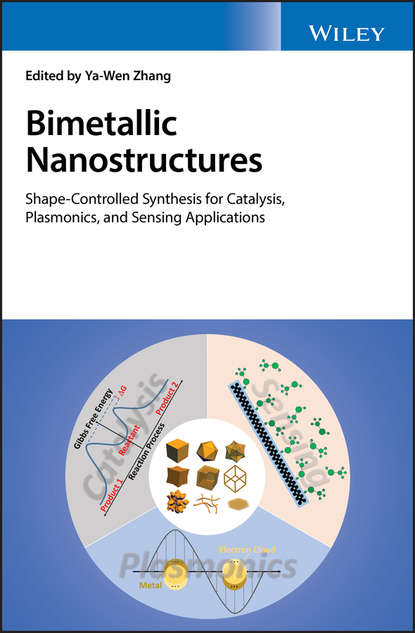 Скачать книгу Bimetallic Nanostructures