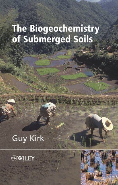 Скачать книгу The Biogeochemistry of Submerged Soils