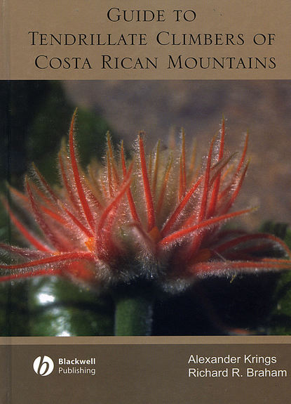 Скачать книгу Guide to Tendrillate Climbers of Costa Rican Mountains