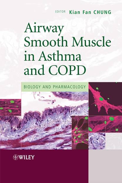 Скачать книгу Airway Smooth Muscle in Asthma and COPD