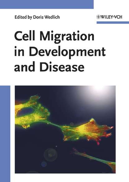 Скачать книгу Cell Migration in Development and Disease