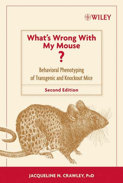 Скачать книгу What's Wrong With My Mouse?