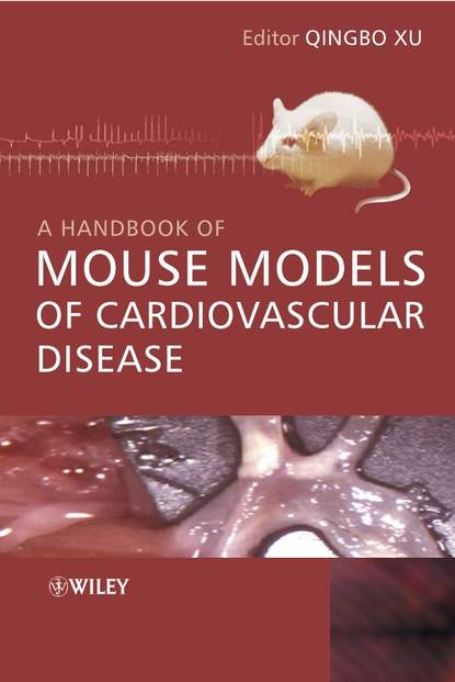 Скачать книгу A Handbook of Mouse Models of Cardiovascular Disease