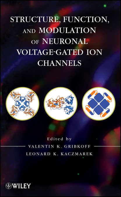 Скачать книгу Structure, Function and Modulation of Neuronal Voltage-Gated Ion Channels