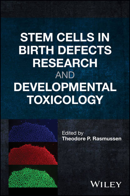 Скачать книгу Stem Cells in Birth Defects Research and Developmental Toxicology
