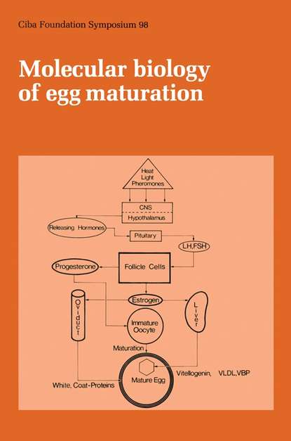 Скачать книгу Molecular Biology of Egg Maturation
