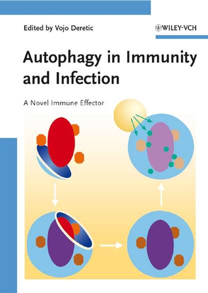 Скачать книгу Autophagy in Immunity and Infection
