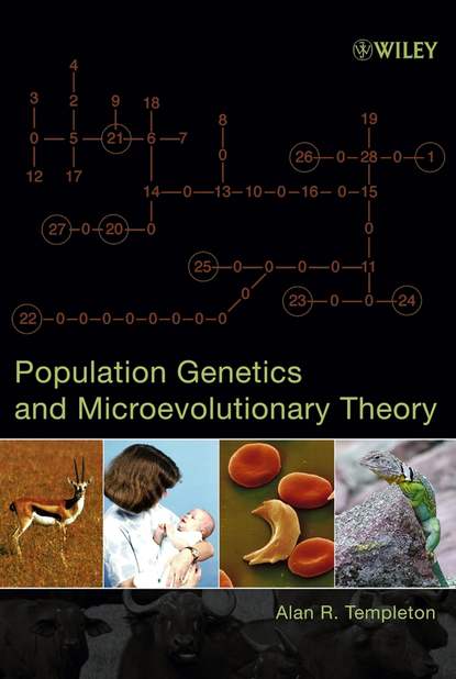 Скачать книгу Population Genetics and Microevolutionary Theory