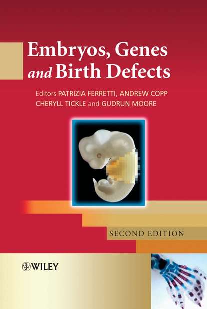 Скачать книгу Embryos, Genes and Birth Defects