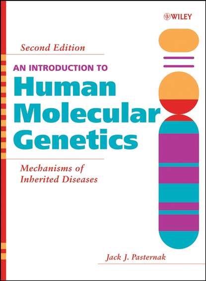 Скачать книгу An Introduction to Human Molecular Genetics