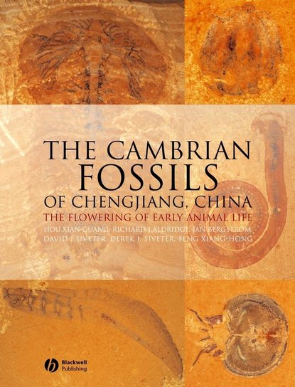 Скачать книгу The Cambrian Fossils of Chengjiang, China
