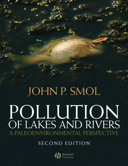 Скачать книгу Pollution of Lakes and Rivers