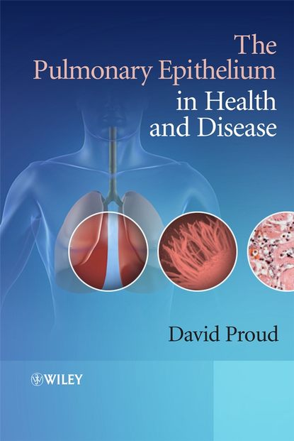 Скачать книгу The Pulmonary Epithelium in Health and Disease