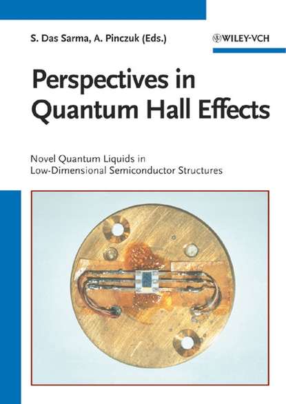 Скачать книгу Perspectives in Quantum Hall Effects