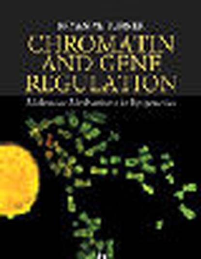 Скачать книгу Chromatin and Gene Regulation