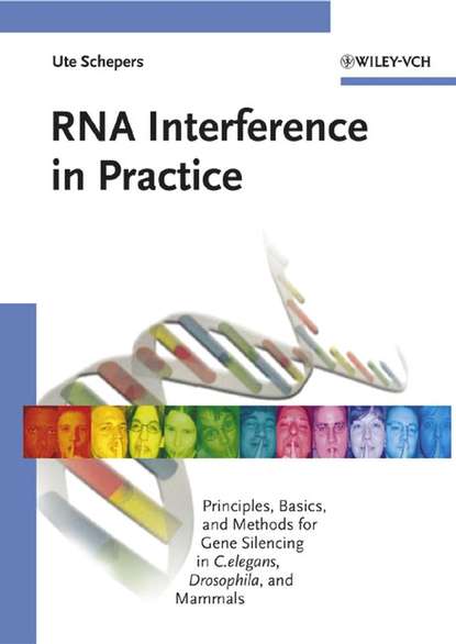 Скачать книгу RNA Interference in Practice
