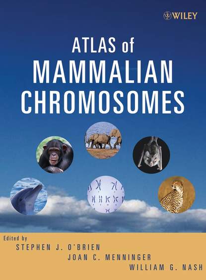 Скачать книгу Atlas of Mammalian Chromosomes