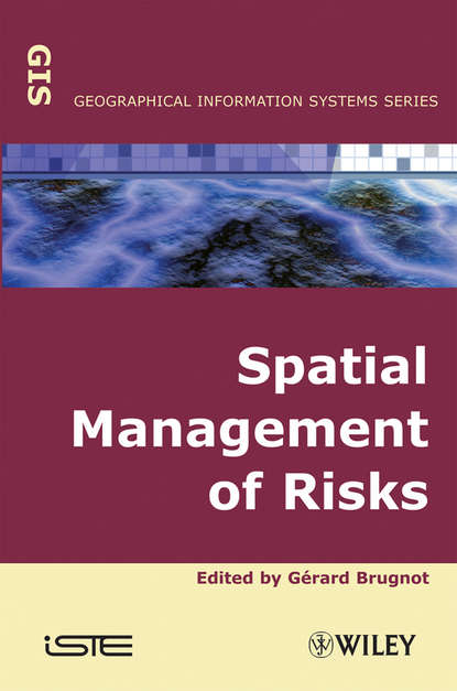 Скачать книгу Spatial Management of Risks