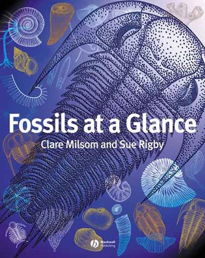 Скачать книгу Fossils at a Glance