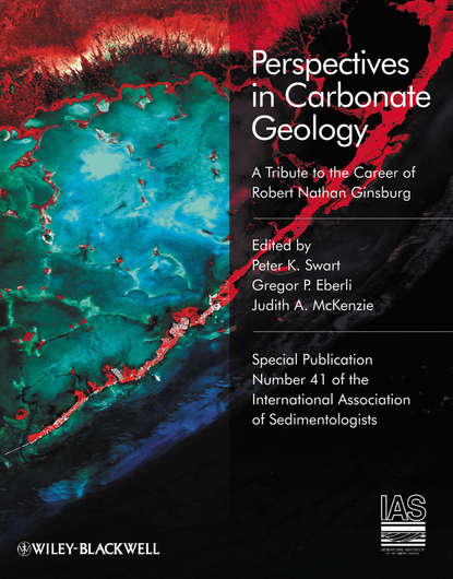 Скачать книгу Perspectives in Carbonate Geology