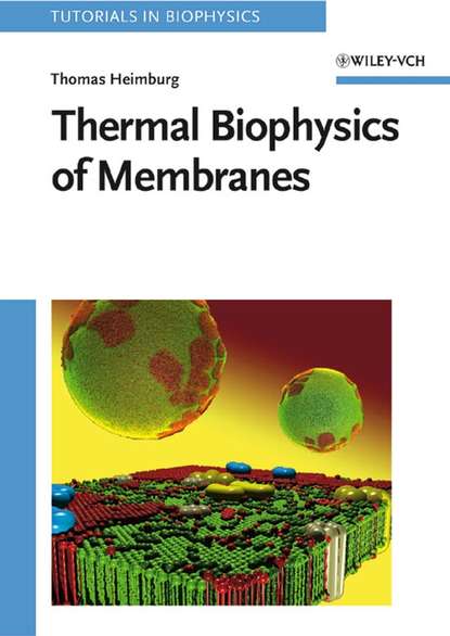 Скачать книгу Thermal Biophysics of Membranes