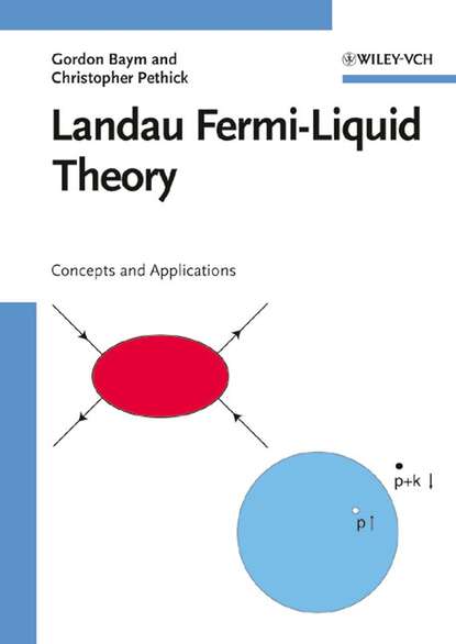 Скачать книгу Landau Fermi-Liquid Theory