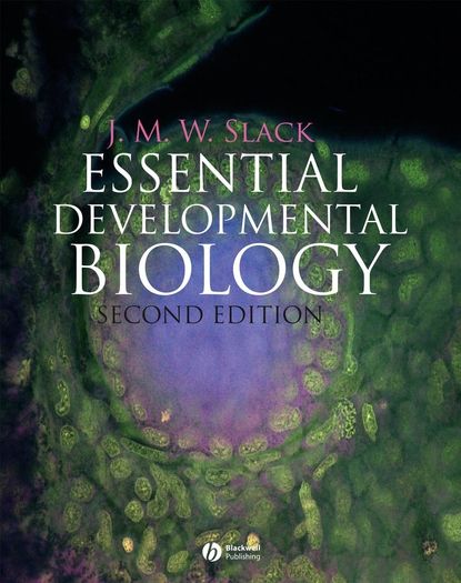 Скачать книгу Essential Developmental Biology