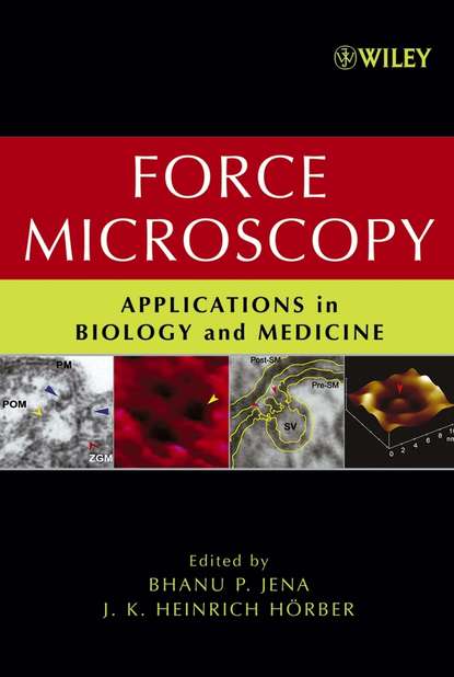 Скачать книгу Force Microscopy