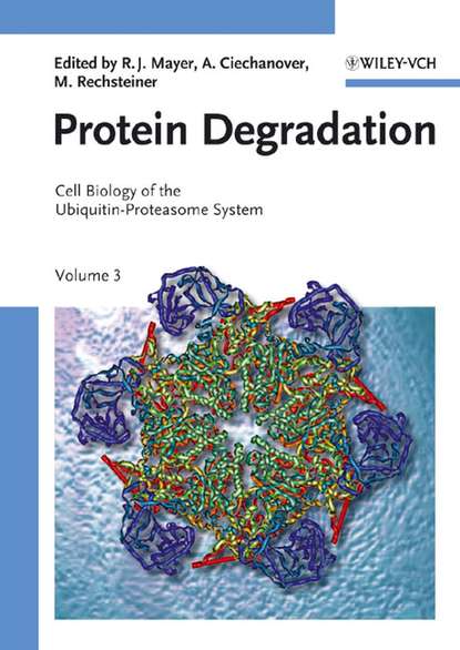 Скачать книгу Protein Degradation