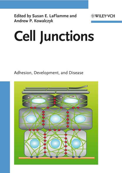 Скачать книгу Cell Junctions