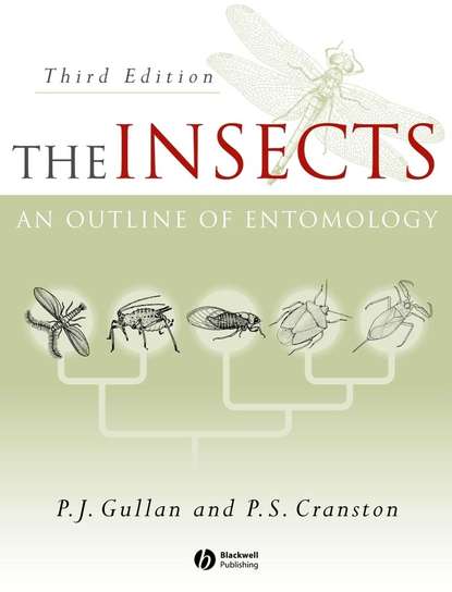 The Insects