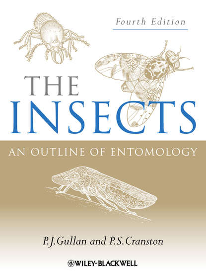 Скачать книгу The Insects