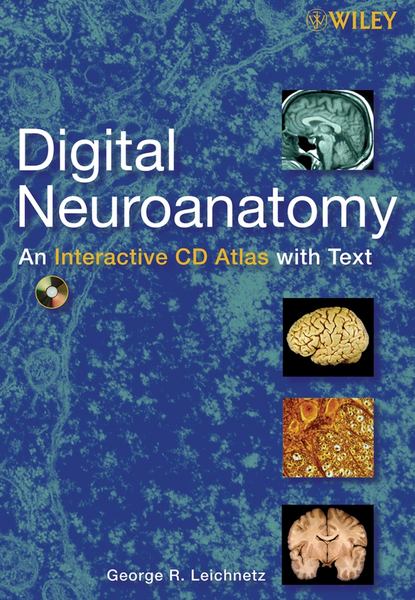 Скачать книгу Digital Neuroanatomy