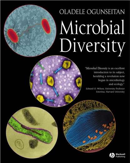 Скачать книгу Microbial Diversity
