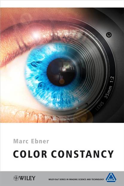 Скачать книгу Color Constancy