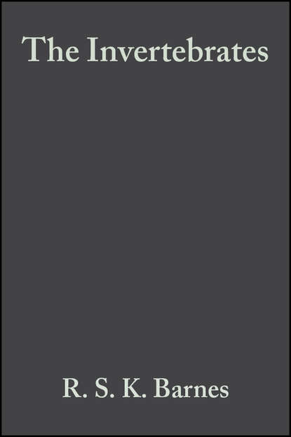 Скачать книгу The Invertebrates