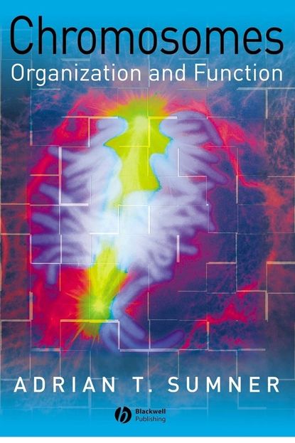Скачать книгу Chromosomes